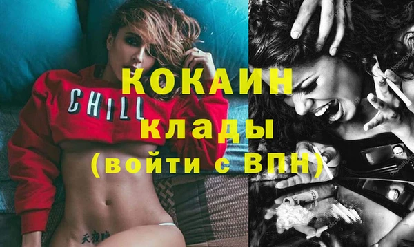 дурь Вяземский